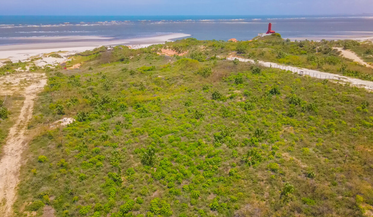 DJI_0517