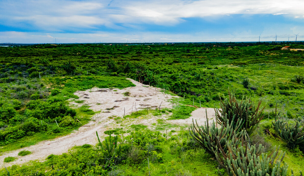 DJI_0162